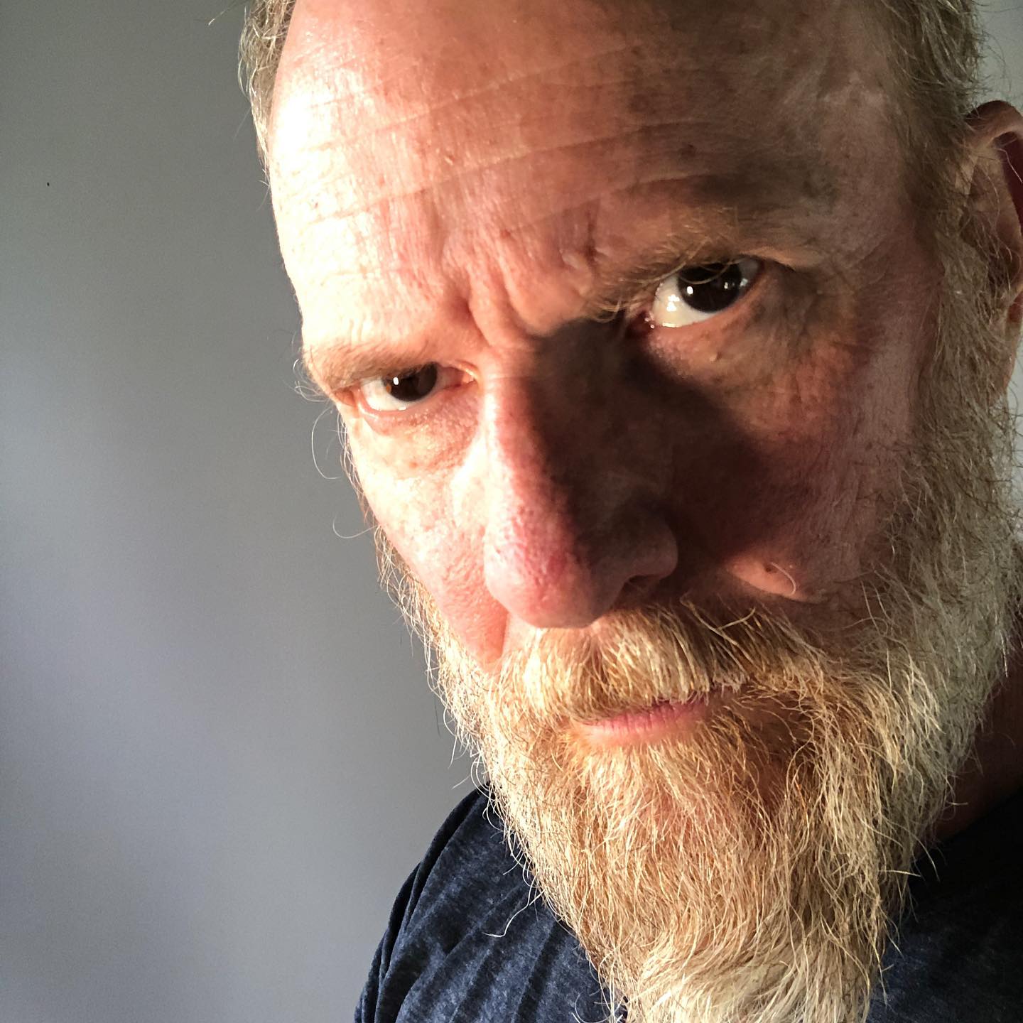 long beard full